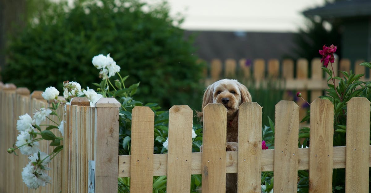 Portin asennus – Kerava hintataso ja esimerkit