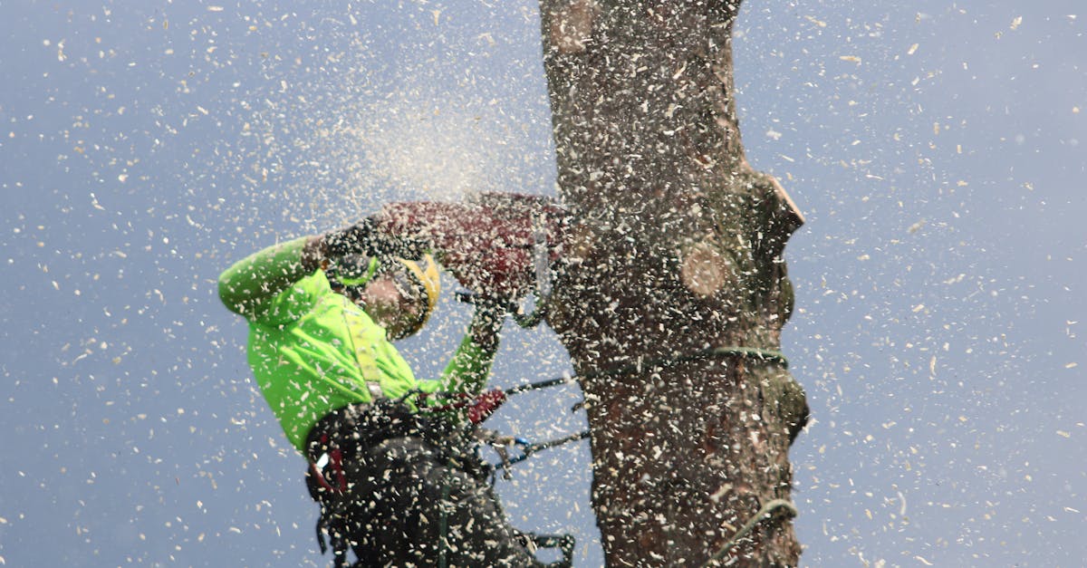 Kantojyrsintä – Turku hintataso ja esimerkit